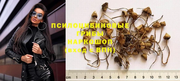 дурь Рославль
