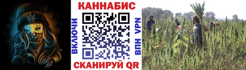 Шишки марихуана MAZAR blacksprut онион Весьегонск цены